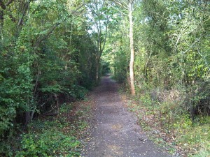 The 100m of cinder path out of the eleven miles of tarmac