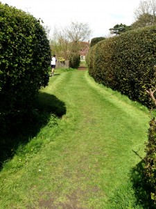 Mown paths... Ditchling really is a lovely place!